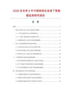 2026及未来5年中国硅铝合金液下泵数据监测研究报告.docx