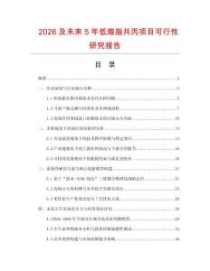2026及未来5年低熔指共丙项目可行性研究报告.docx