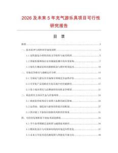 2026及未来5年充气游乐具项目可行性研究报告.docx
