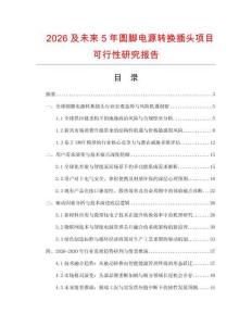 2026及未来5年圆脚电源转换插头项目可行性研究报告.docx