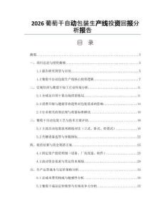 2026葡萄干自动包装生产线投资回报分析报告