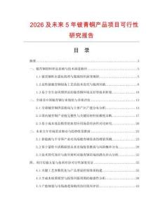 2026及未来5年铍青铜产品项目可行性研究报告.docx