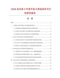 2026及未来5年烫平机大烫毡项目可行性研究报告.docx