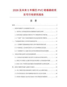 2026及未来5年铜芯PVC绝缘跳线项目可行性研究报告.docx