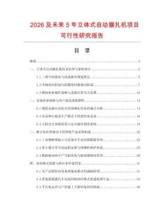 2026及未来5年立体式自动捆扎机项目可行性研究报告.docx