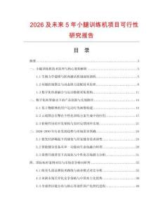 2026及未来5年小腿训练机项目可行性研究报告.docx