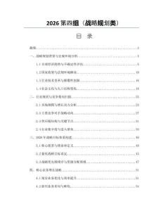 2026第四组（战略规划类）