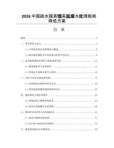 2026中国疏水膜蒸馏高盐废水处理能耗降低方案
