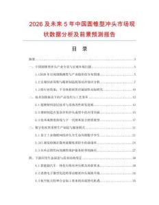 2026及未来5年中国圆锥型冲头市场现状数据分析及前景预测报告.docx