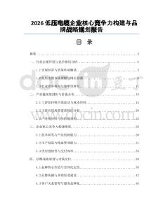2026低压电缆企业核心竞争力构建与品牌战略规划报告