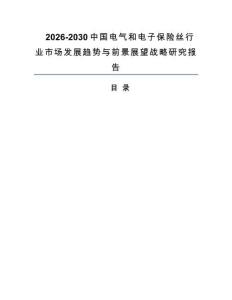 2026-2030中国电气和电子保险丝行业市场发展趋势与前景展望战略研究报告