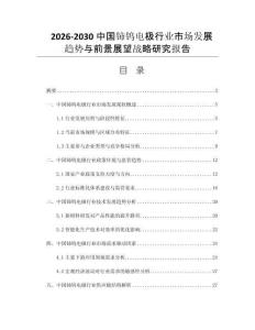2026-2030中国铈钨电极行业市场发展趋势与前景展望战略研究报告