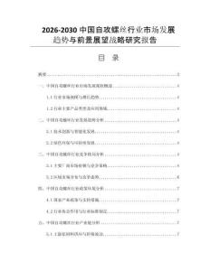 2026-2030中国自攻螺丝行业市场发展趋势与前景展望战略研究报告