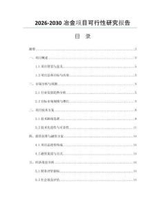 2026-2030冶金项目可行性研究报告