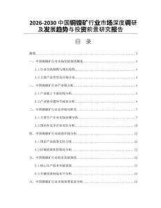 2026-2030中国铜镍矿行业市场深度调研及发展趋势与投资前景研究报告