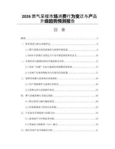 2026燃气采暖市场消费行为变迁与产品升级趋势预测报告