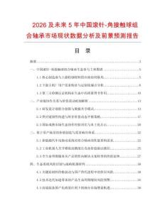 2026及未来5年中国滚针-角接触球组合轴承市场现状数据分析及前景预测报告.docx