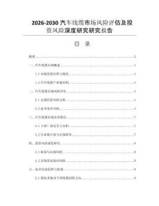 2026-2030汽车线缆市场风险评估及投资风险深度研究研究报告