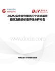 2025年中国令牌化行业市场前景预测及投资价值评估分析报告