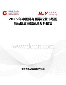 2025年中国健身腰带行业市场规模及投资前景预测分析报告