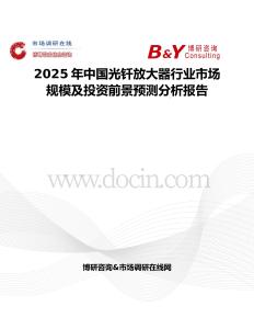 2025年中国光钎放大器行业市场规模及投资前景预测分析报告