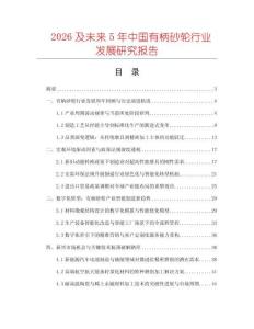 2026及未来5年中国有柄砂轮行业发展研究报告
