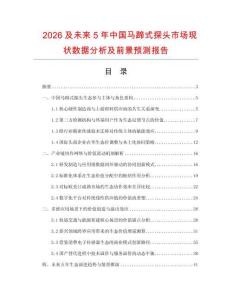 2026及未来5年中国马蹄式探头市场现状数据分析及前景预测报告.docx