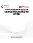 2025年中国化铁炉专用高压风机行业市场前景预测及投资价值评估分析报告