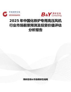 2025年中国化铁炉专用高压风机行业市场前景预测及投资价值评估分析报告