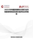 2025年中国游戏解决方案行业市场前景预测及投资价值评估分析报告