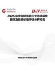 2025年中国旋振磨行业市场前景预测及投资价值评估分析报告