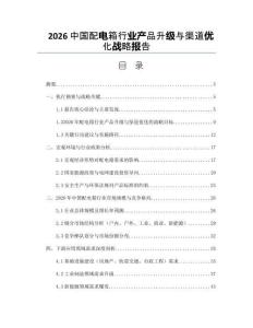 2026中国配电箱行业产品升级与渠道优化战略报告