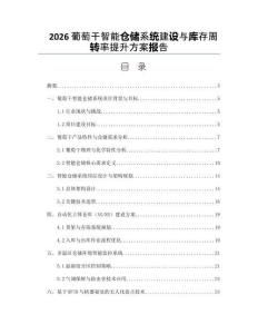 2026葡萄干智能仓储系统建设与库存周转率提升方案报告