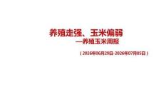 养殖走强、玉米偏弱——养殖玉米周报