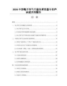 2026中国电子特气行业技术壁垒与客户认证流程报告