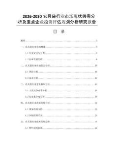 2026-2030农具袋行业市场现状供需分析及重点企业投资评估规划分析研究报告