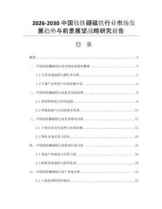 2026-2030中国钕铁硼磁铁行业市场发展趋势与前景展望战略研究报告