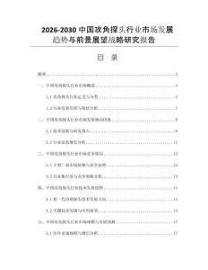 2026-2030中国攻角探头行业市场发展趋势与前景展望战略研究报告