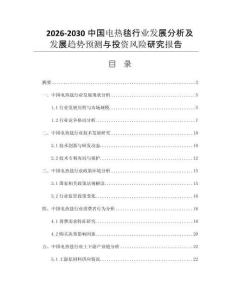 2026-2030中国电热毯行业发展分析及发展趋势预测与投资风险研究报告