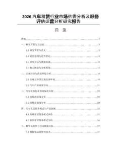 2026汽车租赁行业市场供需分析及服务评估运营分析研究报告