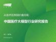 2026年中国医疗大模型行业研究报告 从技术狂奔到价值兑现