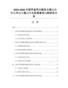 2026-2030中国甲基丙烯酸异氰酸乙酯行业市场发展趋势与前景展望战略研究报告