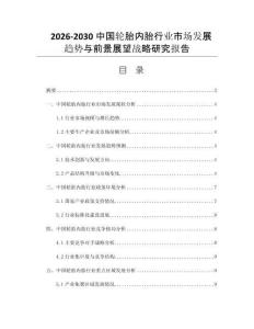 2026-2030中国轮胎内胎行业市场发展趋势与前景展望战略研究报告