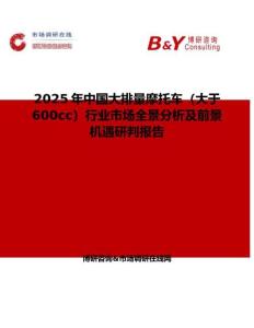 2025年中国大排量摩托车（大于600cc）行业市场全景分析及前景机遇研判报告