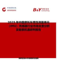 2025年中国摩托车惯性测量单元（IMU）传感器行业市场全景分析及前景机遇研判报告