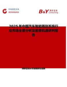 2025年中国汽车智能雨刮系统行业市场全景分析及前景机遇研判报告