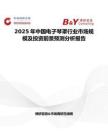 2025年中国电子琴罩行业市场规模及投资前景预测分析报告