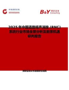 2025年中国道路噪声消除 (RNC) 系统行业市场全景分析及前景机遇研判报告