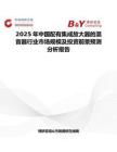 2025年中国配有集成放大器的混音器行业市场规模及投资前景预测分析报告