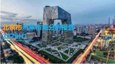 2026H1北京市汽车市场分析报告